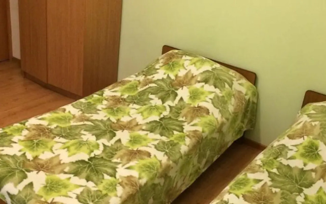 Guest House on Starookhotnichya