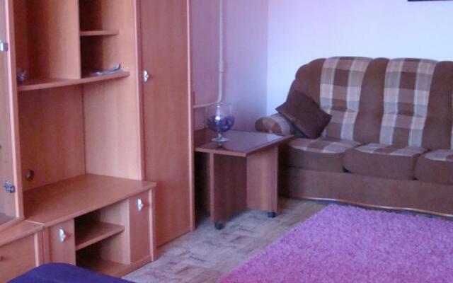 Apartments U Eleni Dzerzhinskogo 22