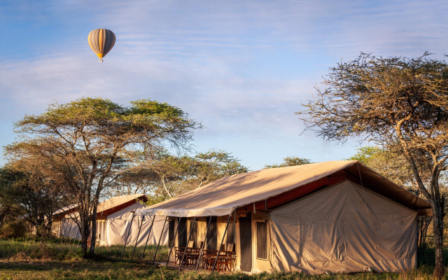 Gnu Ndutu Camp