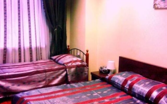 Mini Hotel Bambuk na Smolenskoy