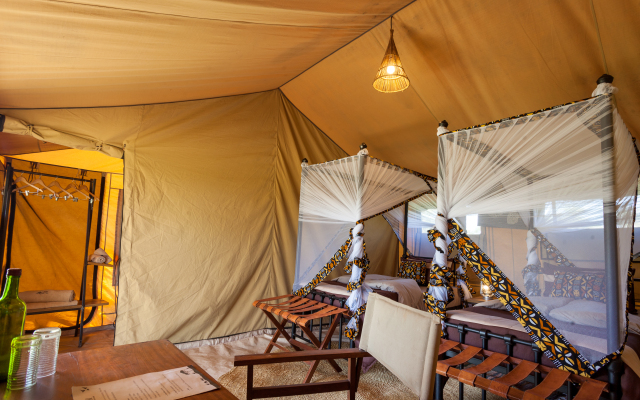 Gnu Ndutu Camp