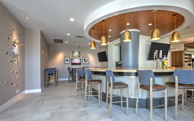 Hilton Garden Inn Dallas/Arlington