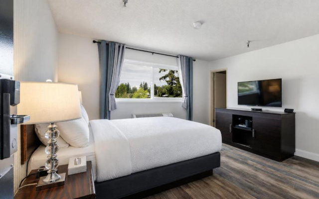 Hotel International