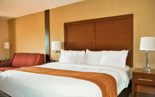 Comfort Inn & Suites Vancouver Downtown City Center