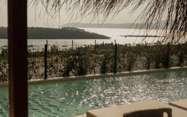 The May Five | Adults only