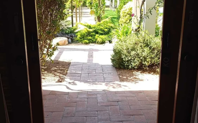 Can Arabi Adults Only