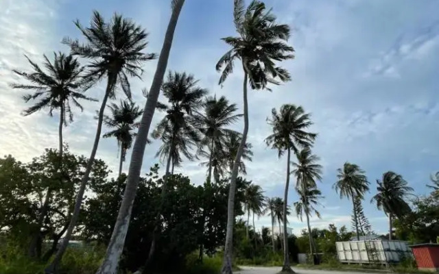 La Isla Tropica Hotel