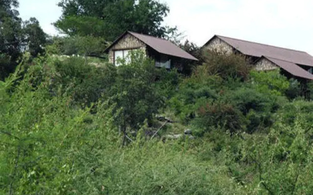 Aloegrove Safari Lodge