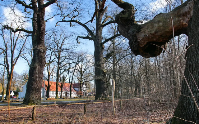 Schwanenkrug