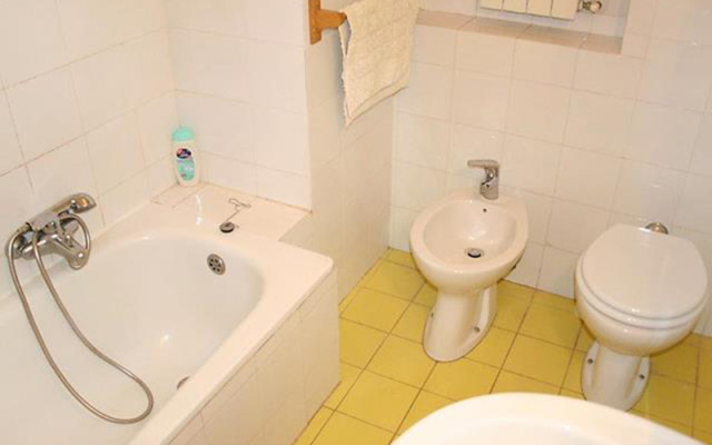 Falcognana - INH 22666