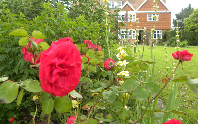 Orchards Retreat