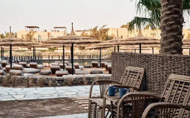 Cook's Club El Gouna - Adults Only