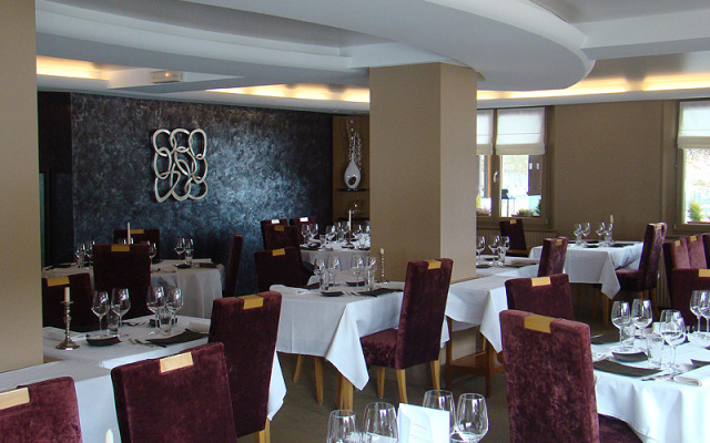 Hôtel-Restaurant LEtang du Moulin