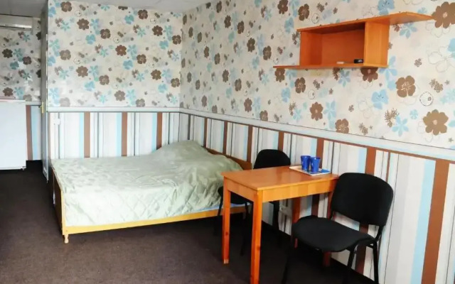 Pansion Kruiz-1 Guest House