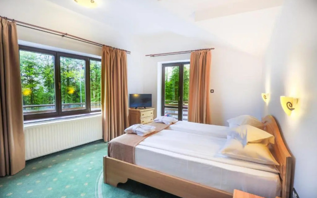 Hotel Casa Viorel