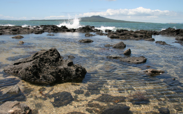 Takapuna Beach Holiday Park