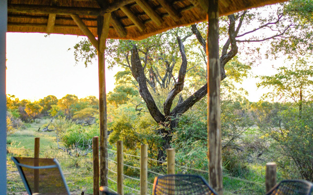 Mziki Safari Lodge