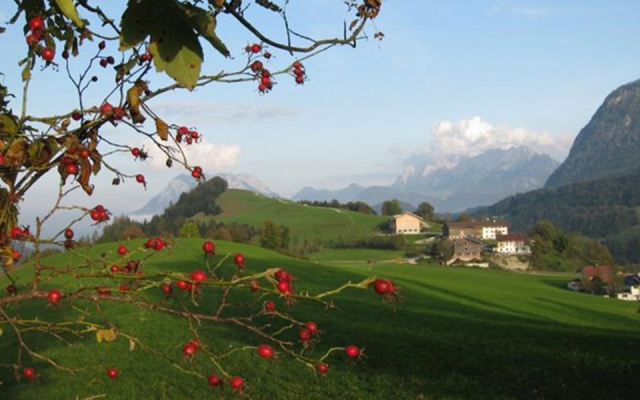 Schiestlhof