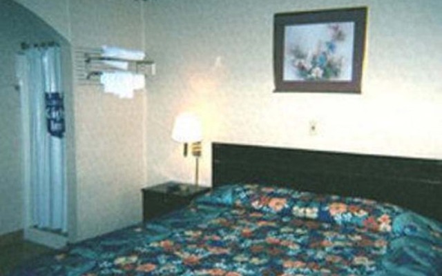 Essence Express Elizabeth EWR Airport