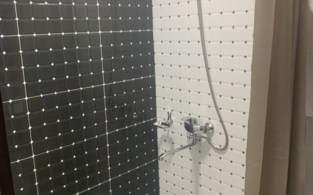 Отель Туркистан