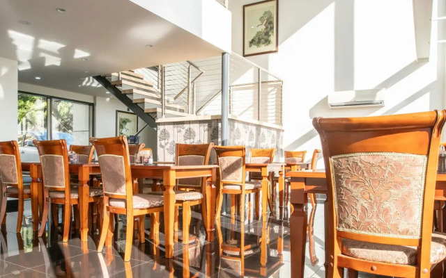 Areca Launceston 