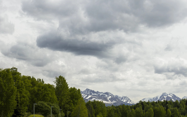 The Wildbirch Hotel — JDV by Hyatt