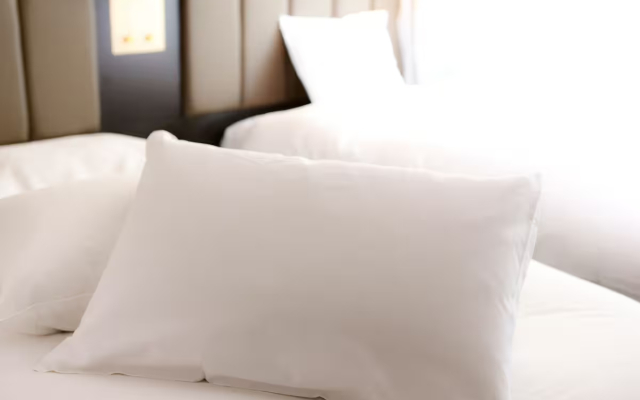 Apa Nambakita Shinsaibashi Ekimae Hotel