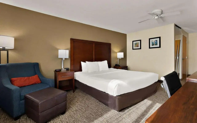 Comfort Inn & Suites Sequoia/Kings Canyon