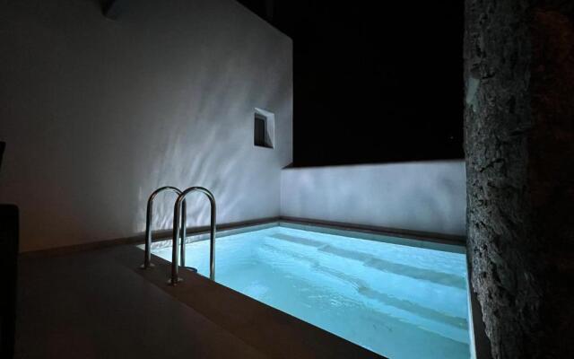 Sunshine Place Mykonos Villa with Private Pool