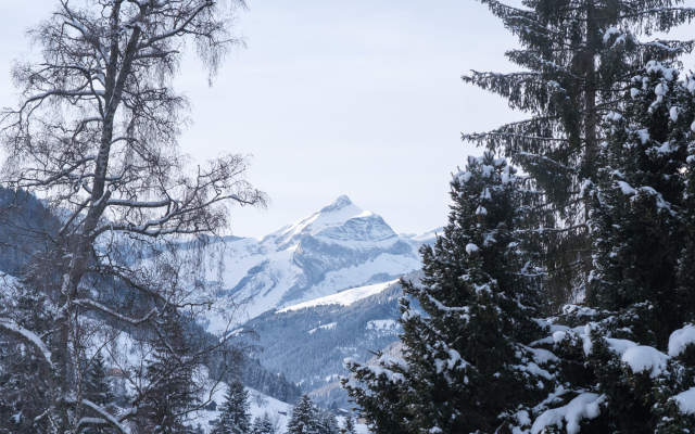 Gstaad Palace