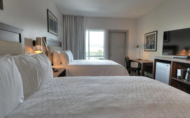 Holiday Inn & Suites Pigeon Forge Convention Center by IHG