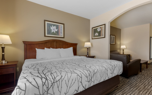 Best Western Plus Sweetwater Inn & Suites