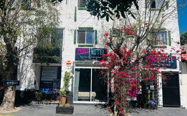 Mini Hotel | San Luis Potosí