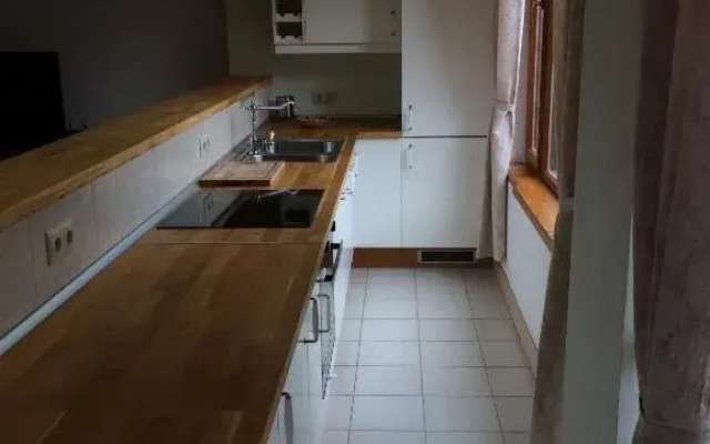 Na Voznesenskoy Apartments