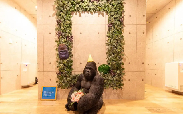Guest House Gorilla