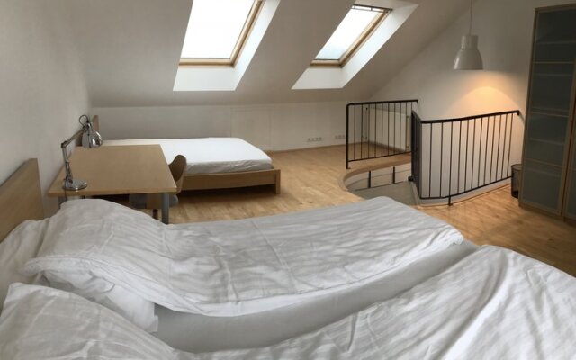 Laugavegur Penthouse Apartment