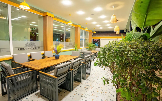 Отель Artemis Princess 