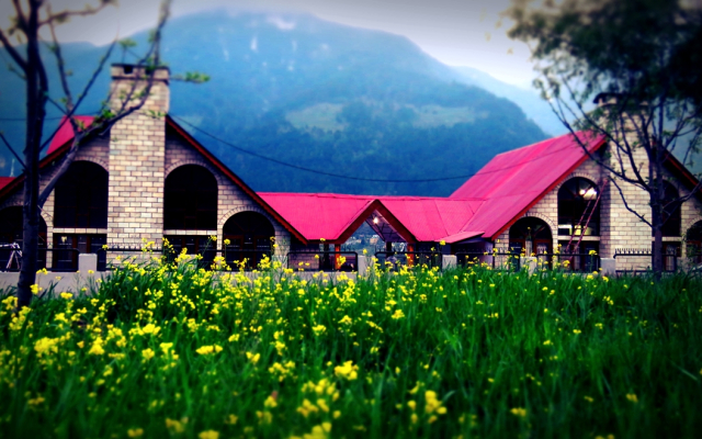 Hotel Anupam