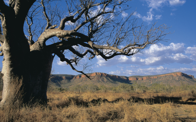 El Questro Wilderness Park - Kununurra office