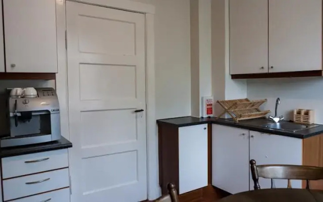 Central Baronsstigur Apartment