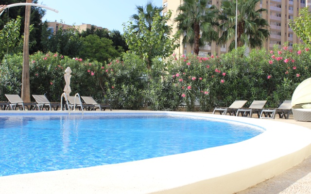 Flamingo Beach Resort - Adults Recomended