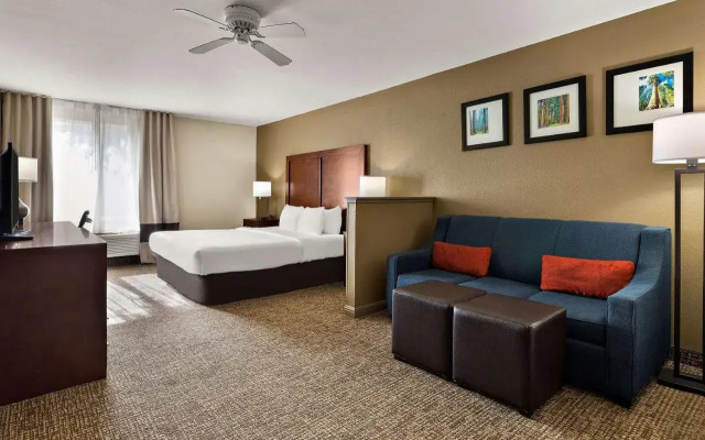 Comfort Inn & Suites Sequoia/Kings Canyon