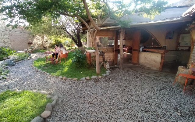 Hostel Casa Arbol