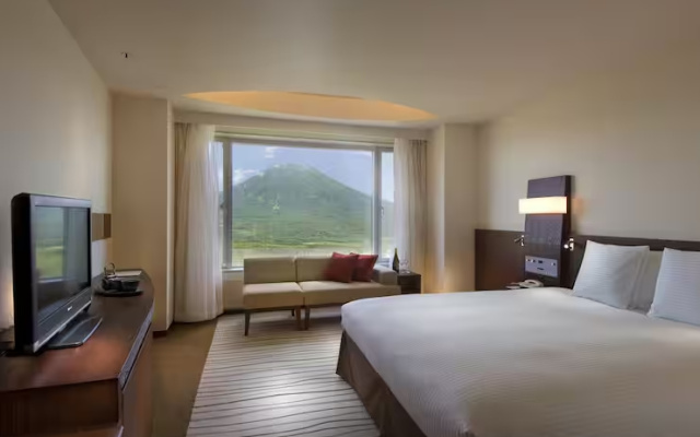 Deluxe Mt. Yotei Double room (풀 더블 침대) 사진 4