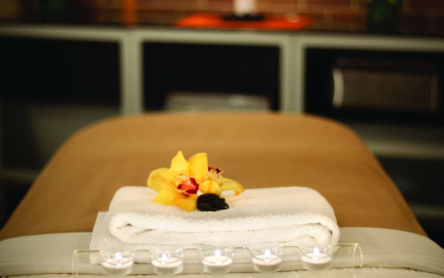 Hyatt Lodge Oak Brook Chicago