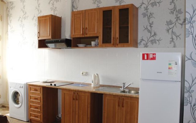 Apartment on Kamyshovaya 41, apt 19