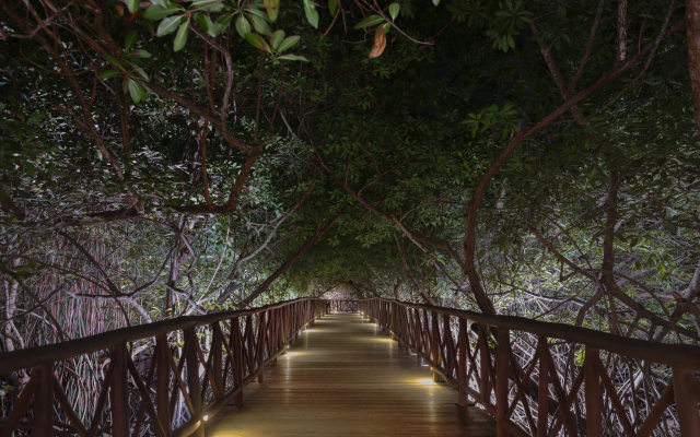 Catalonia Royal Tulum  Adults Only - All Inclusive