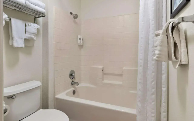 Comfort Inn & Suites Sequoia/Kings Canyon