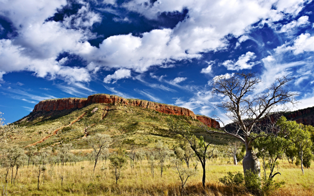 El Questro Wilderness Park - Kununurra office