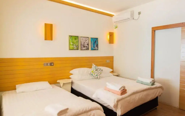 Trip Villa